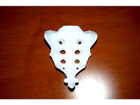 Human Sacrum - Axis Holes by Z50Productions