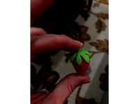 strawberry by mortonnc