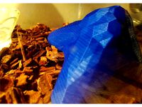 Shelter for a snake in terrarium by standa3