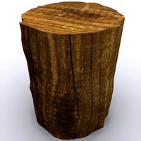 Tree Stump 3D Model