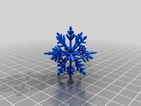 BHS Snowflake by gdbartel