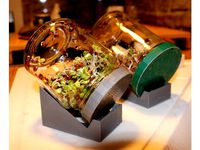 Jam glass thread / sprouting can lid / stand by Inhumierer