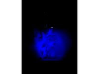 Zootopia Nick Wilde Lithophane by ajfilmnfx