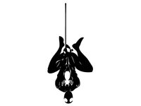Spiderman Stencil by -Raul-