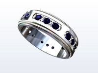 Ring4 3D Model