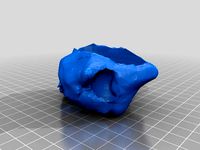 Meteorite Planter by PhoenixBlasterz