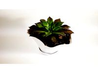 Flower Vase Natural Shape W/ Base by banbanmakes
