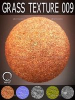 Grass Textures 009