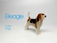 Beagle - Low Poly by O3D