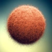 Frizzy Fabrics Fur