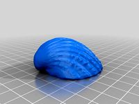 Sea Shell (Solid) by RickB