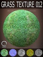 Grass Textures 012
