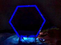 Tiny Whoop Gate with LED Holder by Miataman95