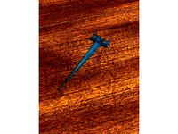 2018 Food/Drink Picks by cpal53916