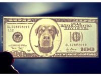 Billete ENIA LITHOPHANE by tresdlito