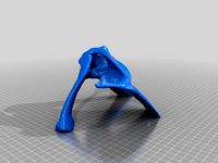 shoulder joint from CT by wesman732