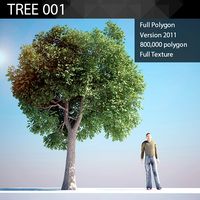 ED Tree Model 001