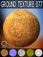 Ground Textures 077