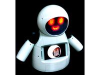 Robo - 3d Robotics by wispdrone