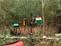 Bird Feeder Pole Branch Holder by garrettreed