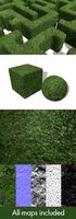 Cut Maze Hedge Seamless Texture