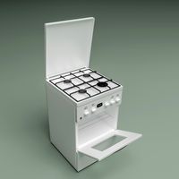 Gas stove