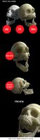 HIGH POLY SCULL 3D MODEL