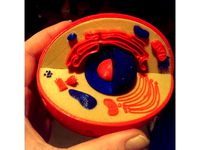 multicolored cell by Morey3D