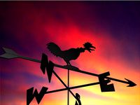 Amusing Weather Vane for my shed [gnamp] by gnamp