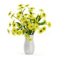 Coneflowers in Ceramic Vase