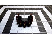 22LR Scope Bandoleer by Tidangerous