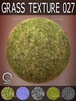 Grass Textures 027
