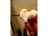 Femur Head with Medical Screw by abahour