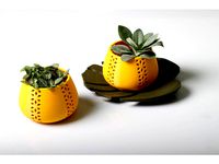 Jungle plate by dagoma3D