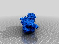 CCR2 model by Askfloto