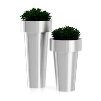 Two Plants in Large Metal Pots