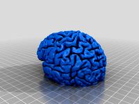 Tealight Lit Brain by jrubins