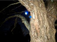 Laser Christmas Light Mounting Bracket by BadServo