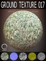Ground Textures 017