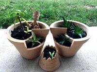 3 Different pots by BlackTip