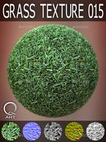 Grass Textures 015