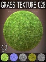 Grass Textures 028
