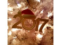 2017 Christmas Picture Ornament w/ Santa Hat by StensethJeremy