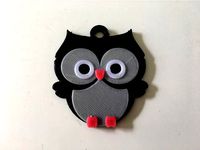 Multi-Coloured Owl Key Tag by danricho