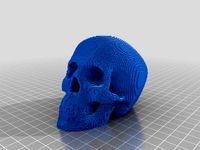 Voxelized Human Skull by ThattCatto