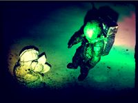Alien Eggs by Anakleto