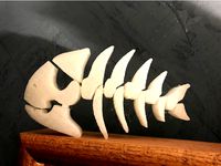 Bone Fish by jefflundstrom