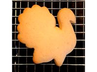 Turkey Cookie Cutter by TAG72
