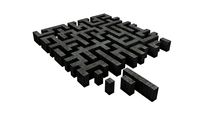 The Infinite Maze