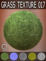 Grass Textures 017
